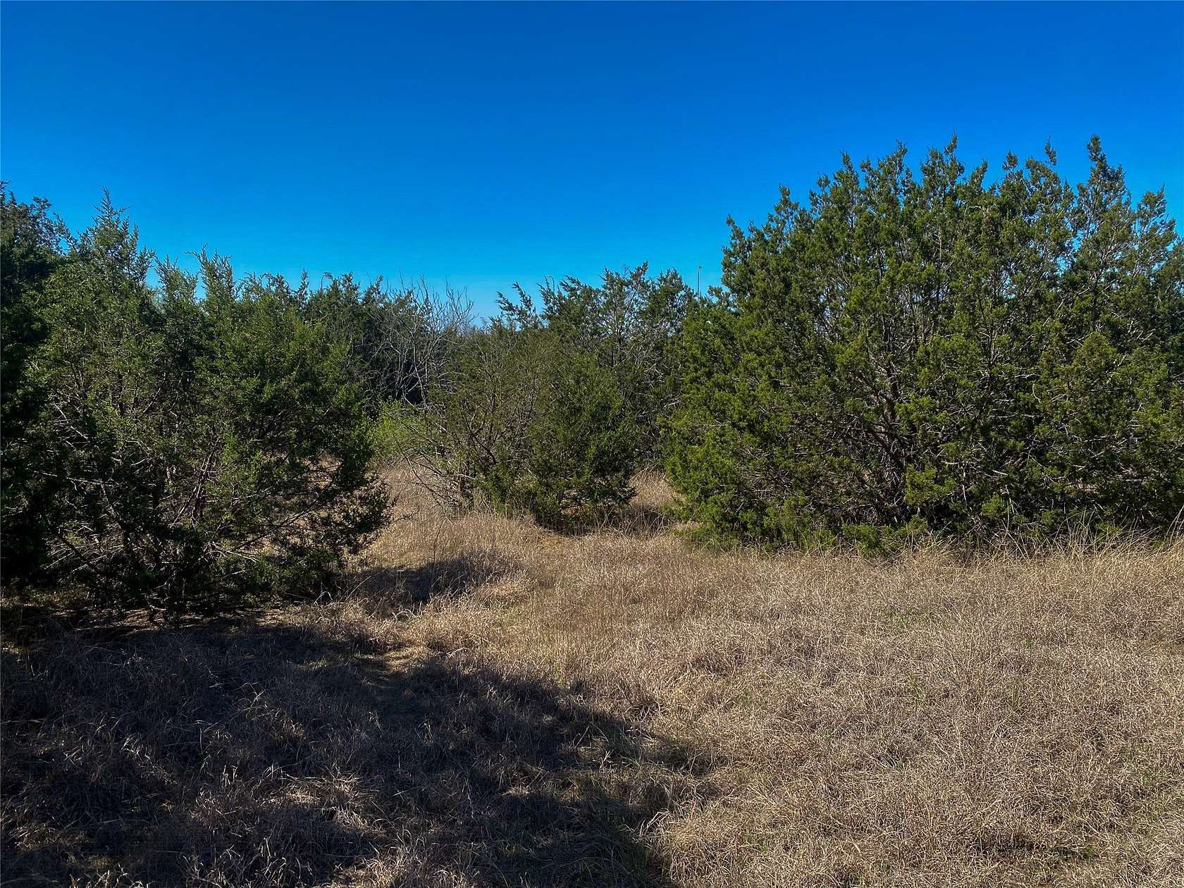 8 Acres of Land for Sale in Cleburne, Texas