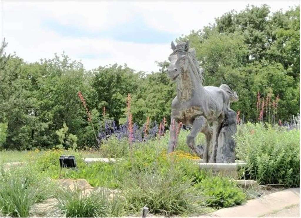 2 Acres of Residential Land for Sale in Bowie, Texas