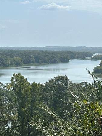 3.1 Acres of Residential Land for Sale in Catherine, Alabama