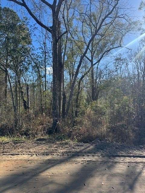 3.82 Acres of Residential Land for Sale in Adel, Georgia
