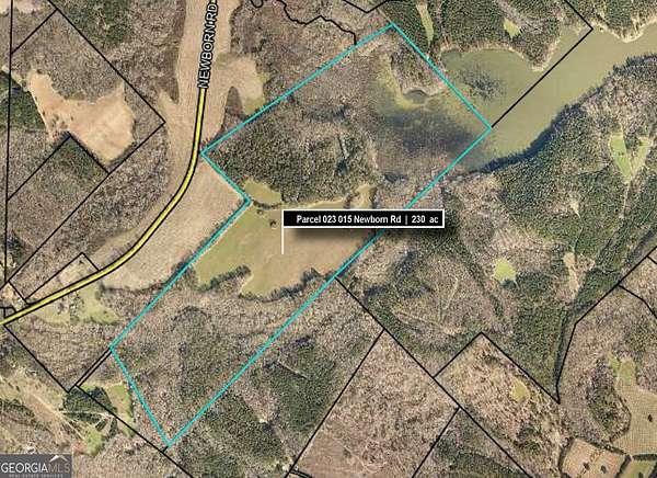 230 Acres of Recreational Land for Sale in Newborn, Georgia
