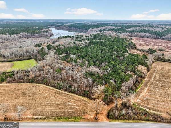 230 Acres of Recreational Land for Sale in Newborn, Georgia