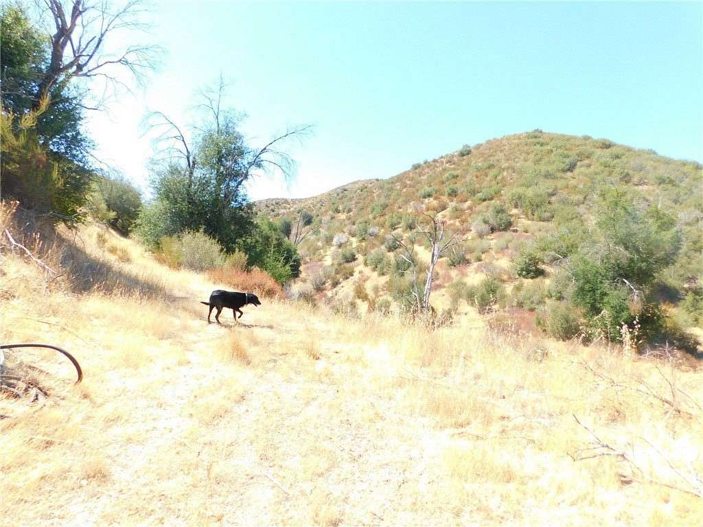 220 Acres of Agricultural Land for Sale in Santa Margarita, California