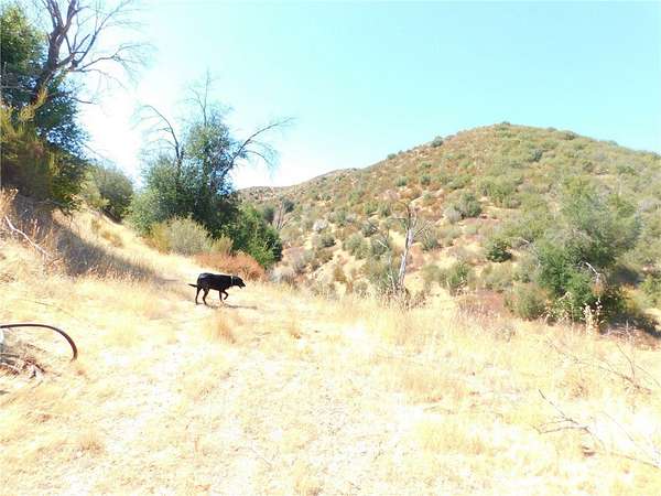 220 Acres of Agricultural Land for Sale in Santa Margarita, California