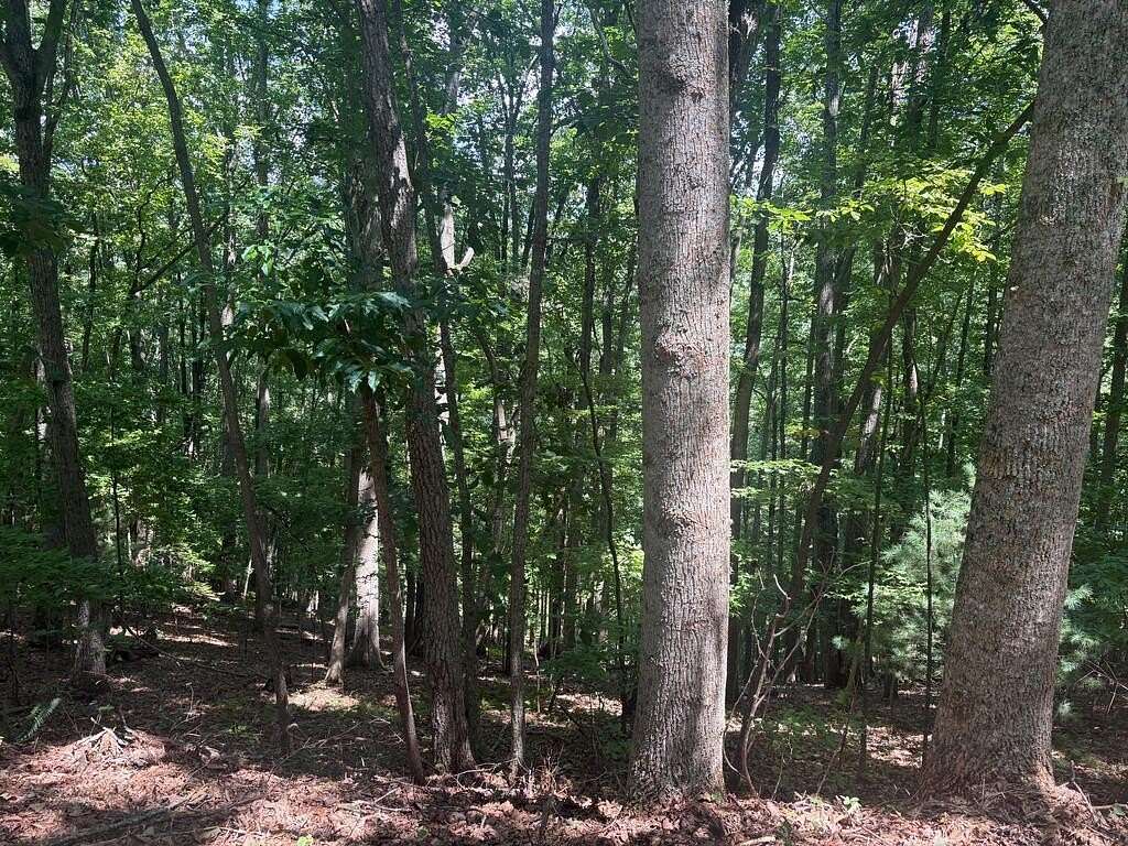 2 Acres of Land for Sale in Blairsville, Georgia