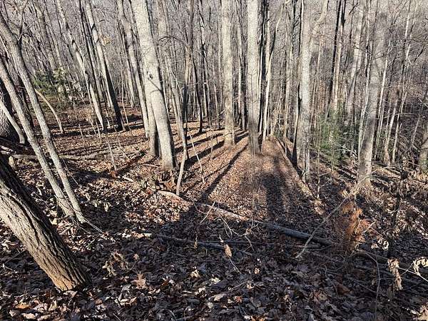 2 Acres of Land for Sale in Blairsville, Georgia