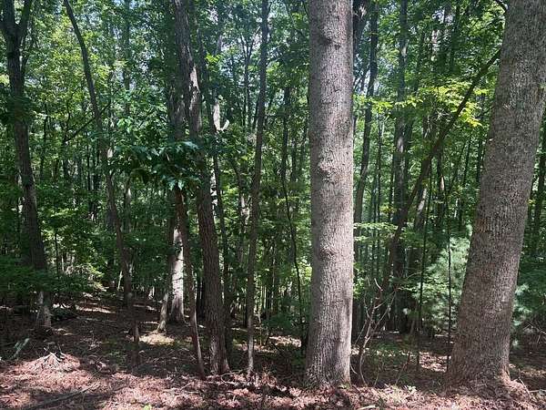 2 Acres of Land for Sale in Blairsville, Georgia