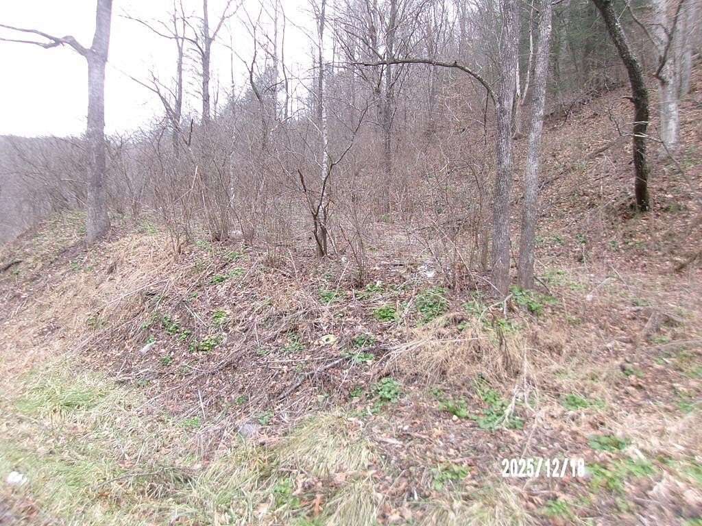 10 Acres of Land for Sale in Anawalt, West Virginia