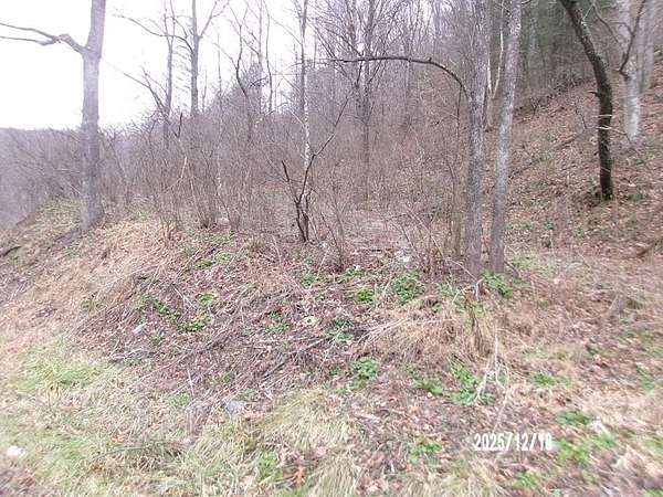 10 Acres of Residential Land for Sale in Anawalt, West Virginia