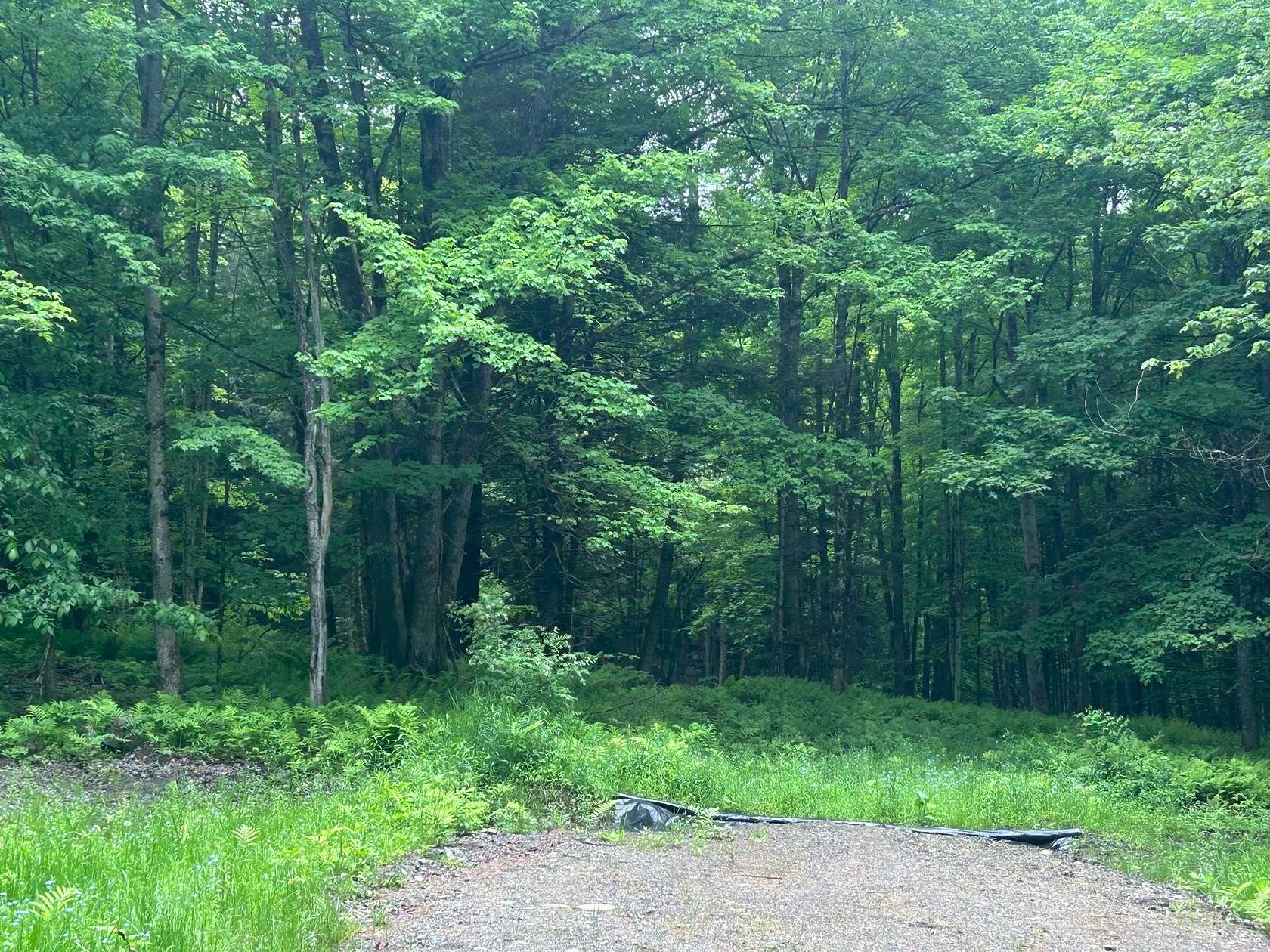 10 Acres of Land for Sale in Johnson, Vermont