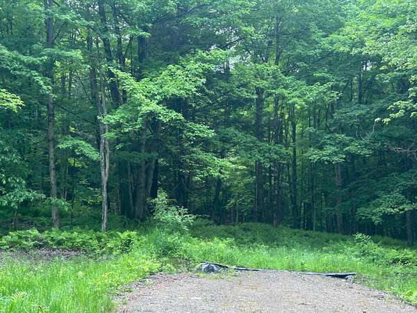 10 Acres of Land for Sale in Johnson, Vermont