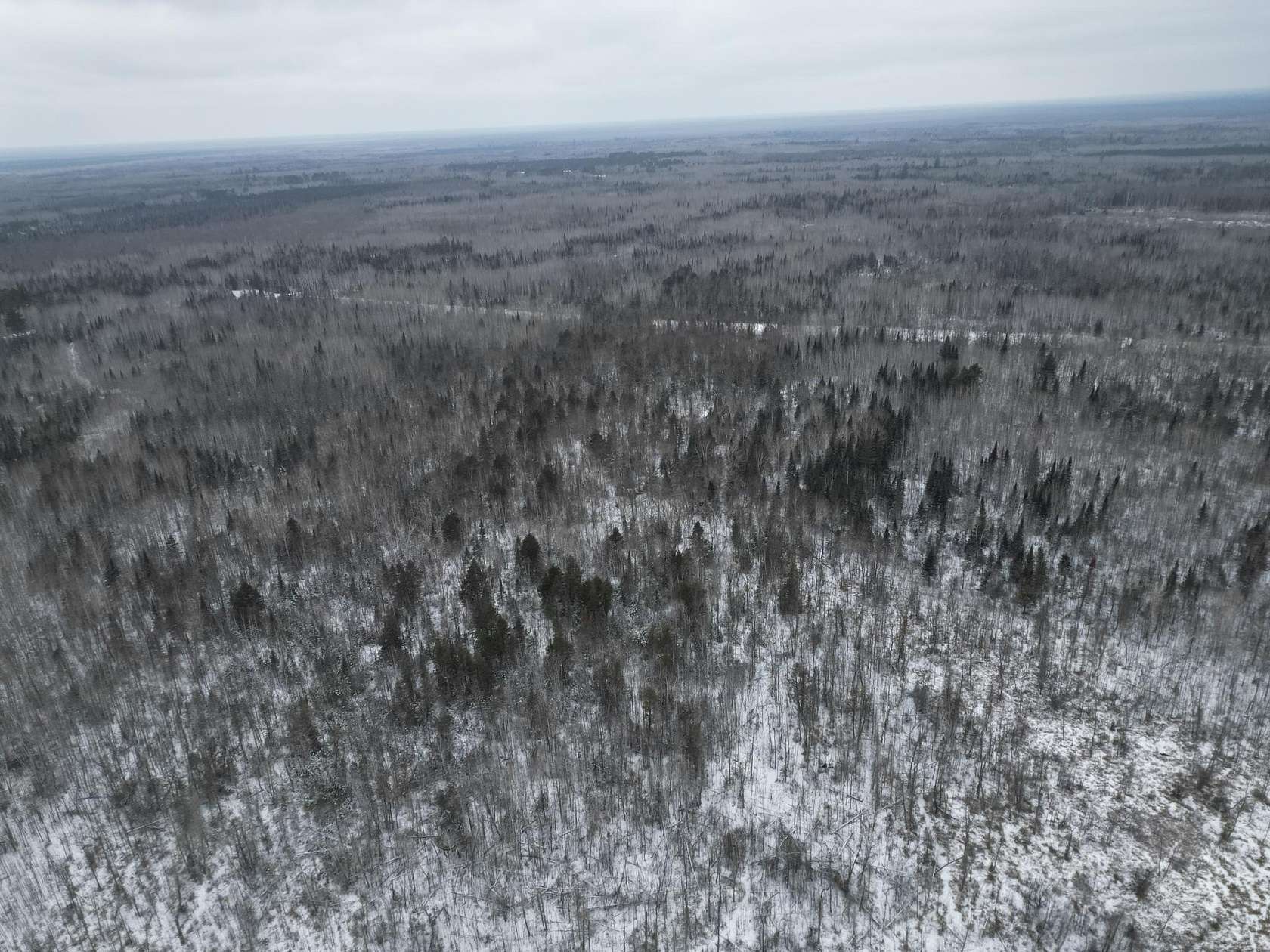 84.7 Acres of Recreational & Residential Land for Sale in Big Falls, Minnesota