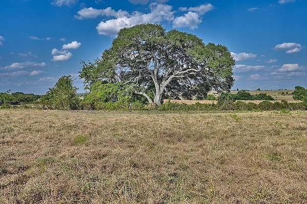 44 Acres of Agricultural Land for Sale in Burton, Texas