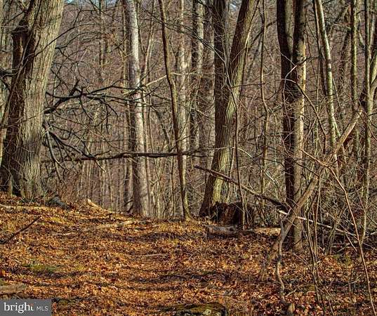 66.1 Acres of Recreational Land for Sale in Sabillasville, Maryland