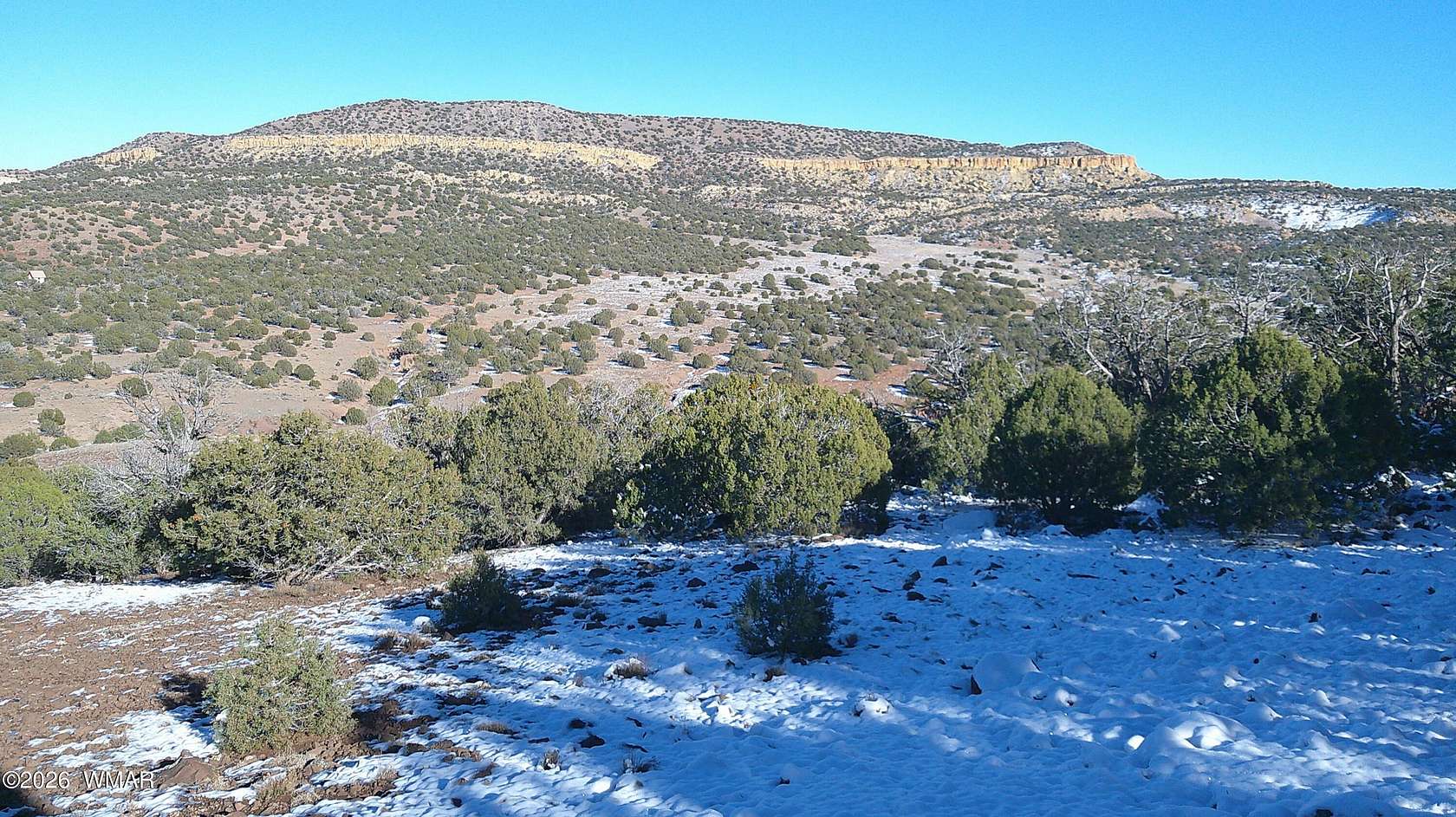 40 Acres of Recreational Land for Sale in Concho, Arizona