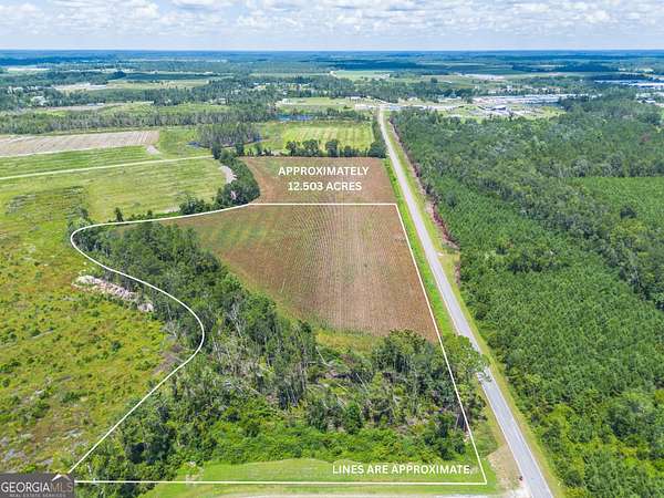 12.5 Acres of Land for Sale in Alma, Georgia