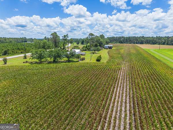 8 Acres of Land for Sale in Alma, Georgia