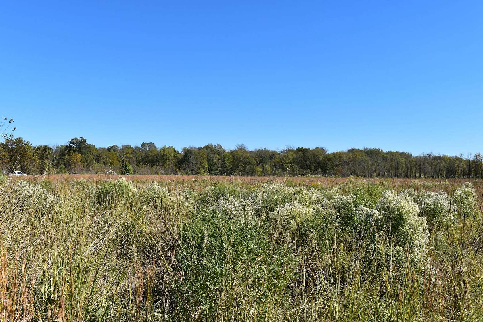 8.26 Acres of Land for Sale in Texarkana, Texas