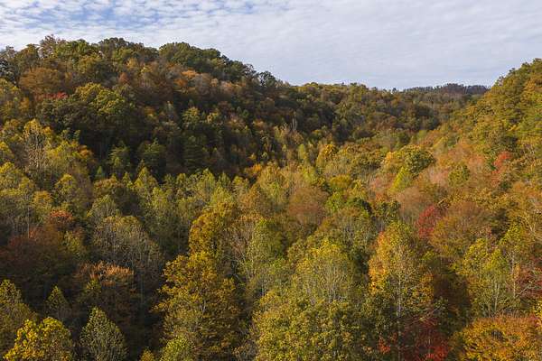 89 Acres of Recreational Land & Farm for Sale in Blackwater, Virginia