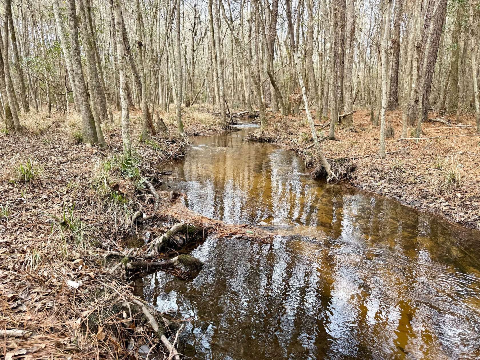 209 Acres of Recreational Land for Sale in Roberta, Georgia