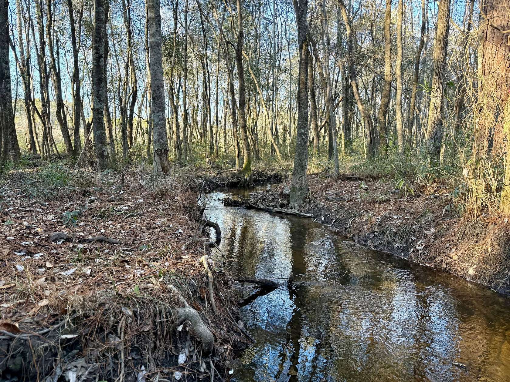 209 Acres of Recreational Land for Sale in Roberta, Georgia