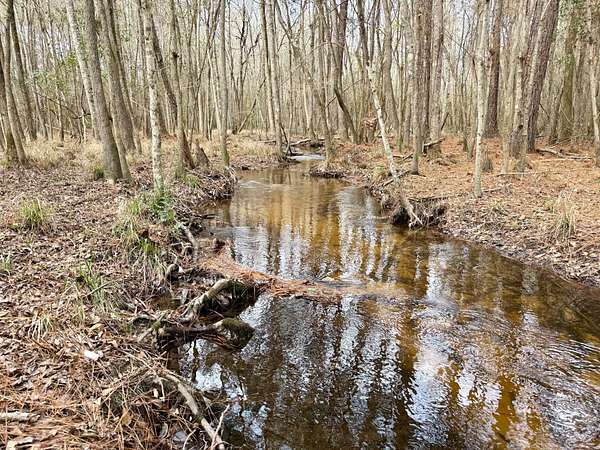 209 Acres of Recreational Land for Sale in Roberta, Georgia