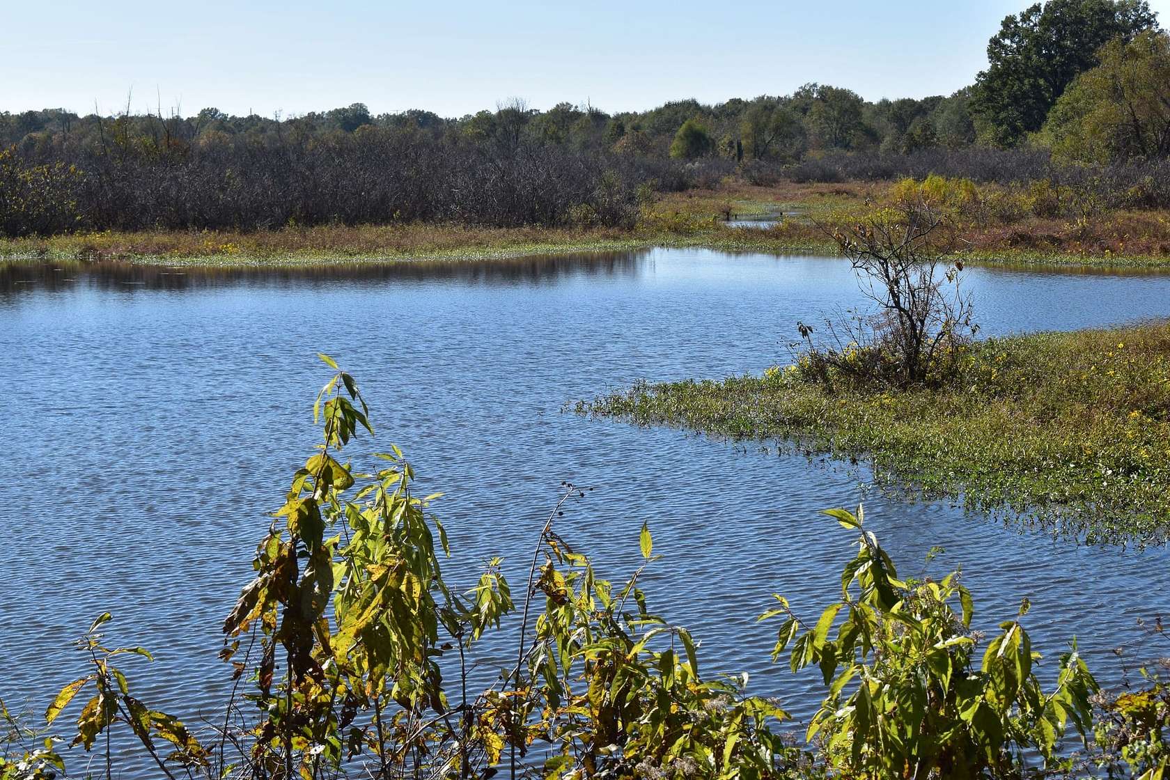 130 Acres of Recreational Land for Sale in Texarkana, Texas