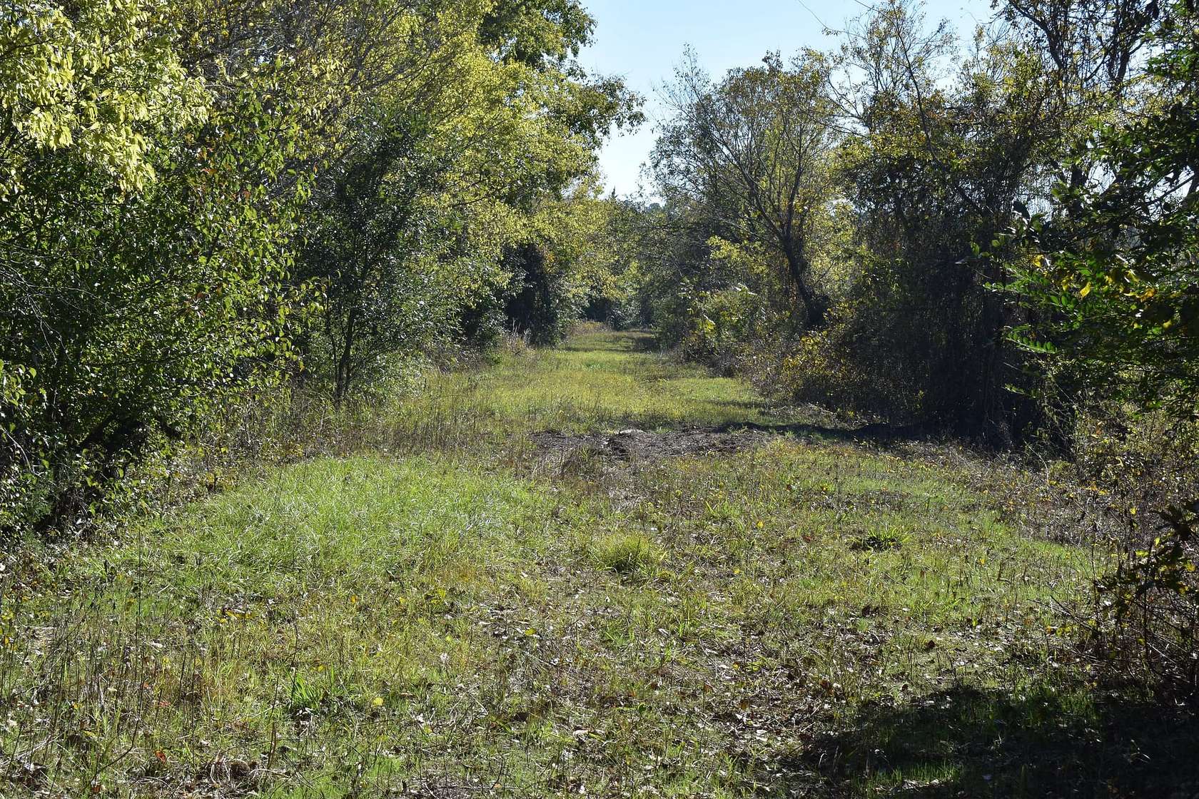 135 Acres of Recreational Land for Sale in Texarkana, Texas