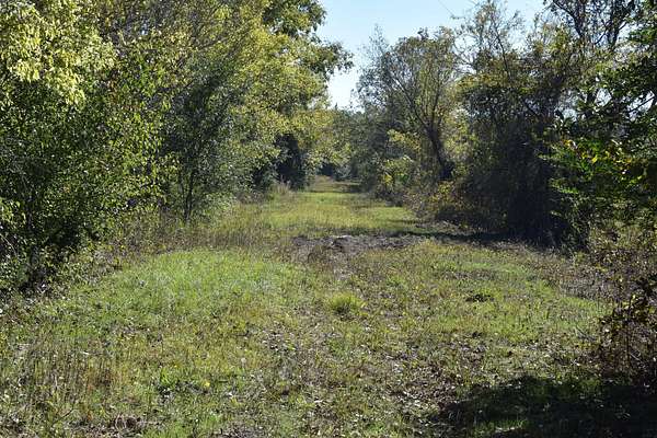 135 Acres of Recreational Land for Sale in Texarkana, Texas