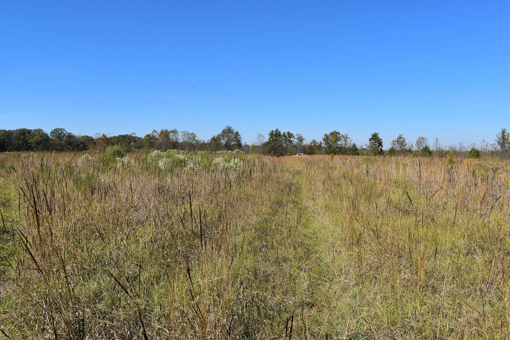 85 Acres of Recreational Land for Sale in Texarkana, Texas