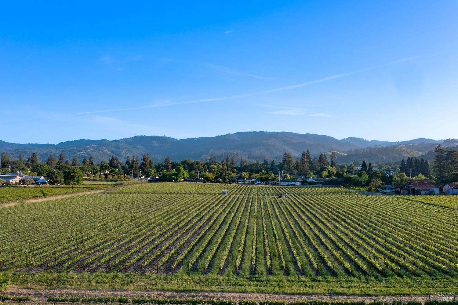 11.8 Acres of Land for Sale in St. Helena, California