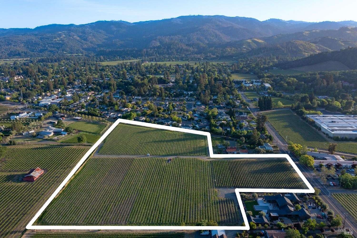 11.8 Acres of Land for Sale in St. Helena, California