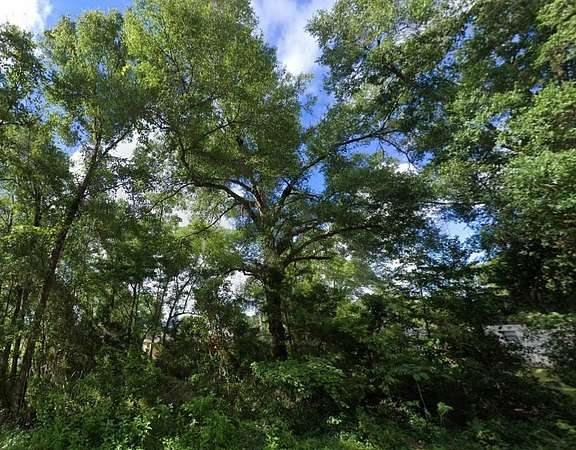 0.23 Acres of Land for Sale in Ocala, Florida