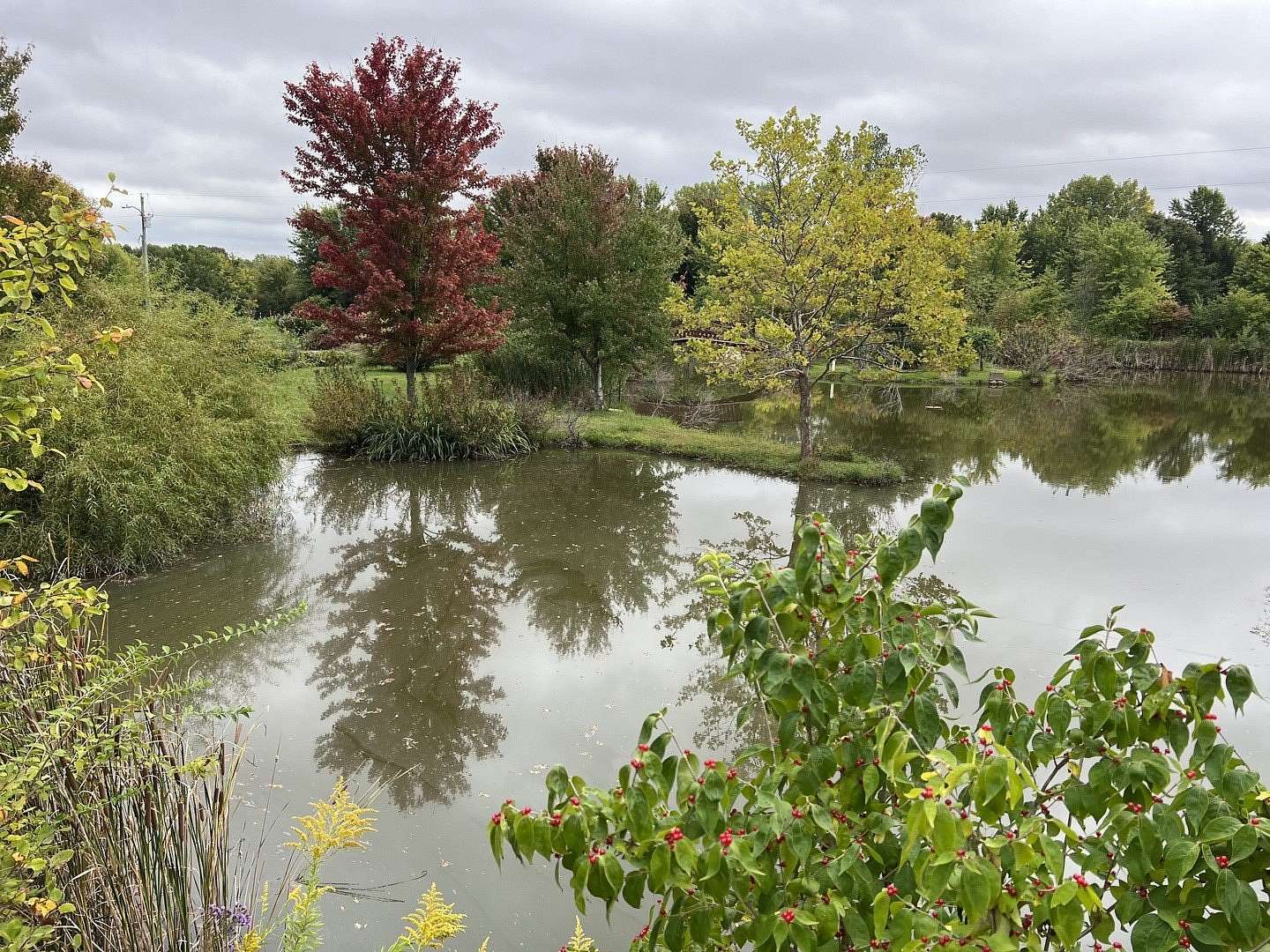 3.21 Acres of Land for Sale in St. Joseph, Illinois