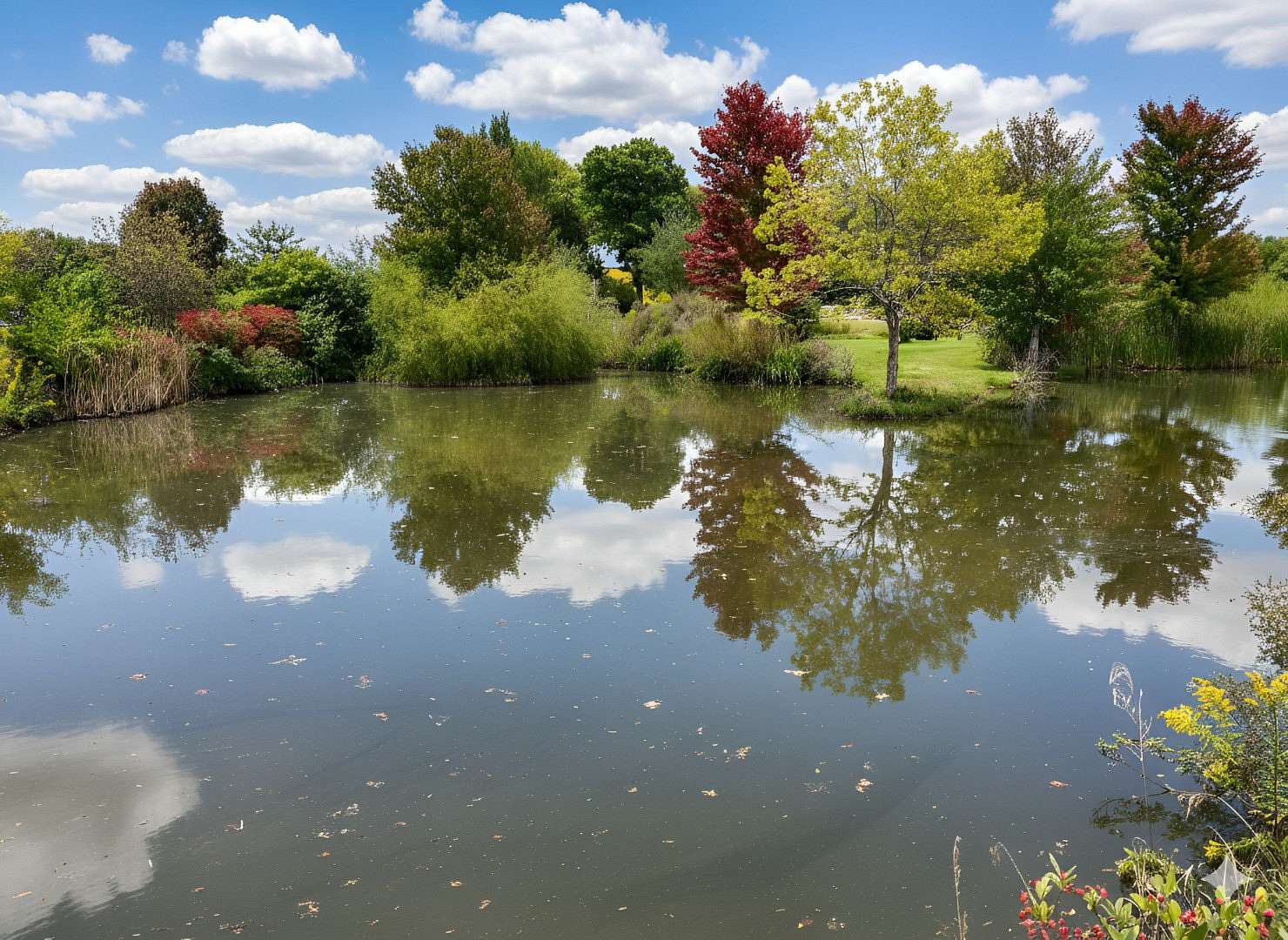 3.22 Acres of Residential Land for Sale in St. Joseph, Illinois