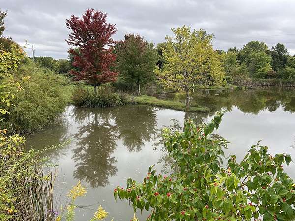 3.21 Acres of Land for Sale in St. Joseph, Illinois