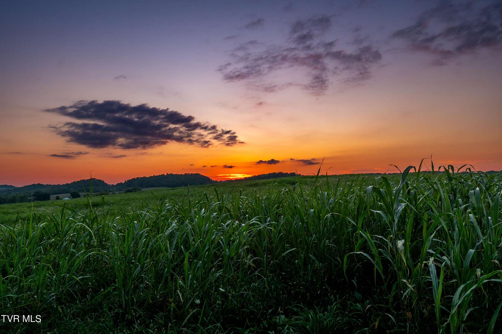 8.89 Acres of Residential Land for Sale in Limestone, Tennessee