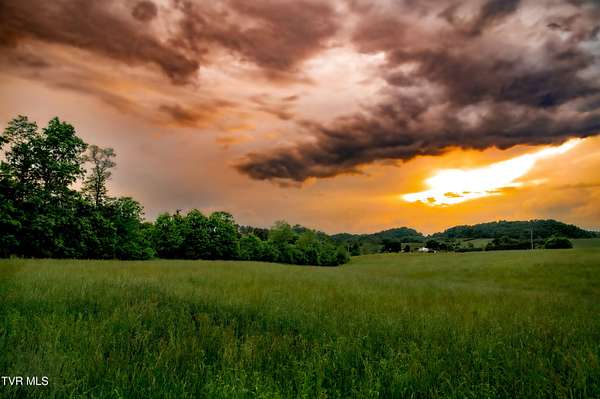 14.5 Acres of Land for Sale in Limestone, Tennessee