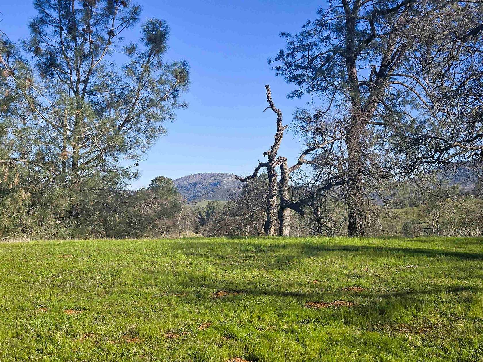 1.5 Acres of Residential Land for Sale in La Grange, California