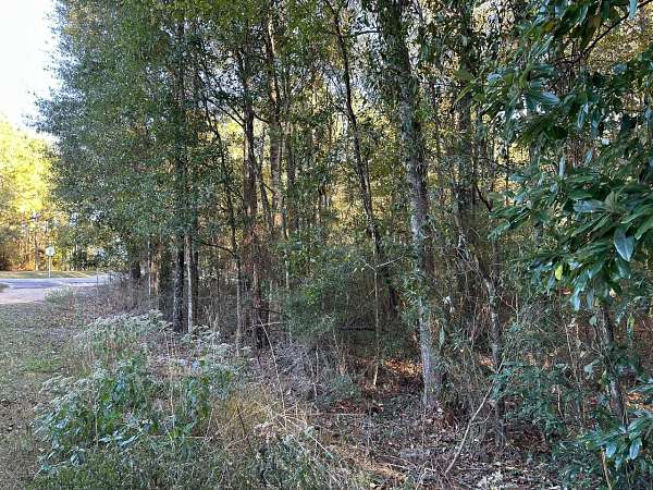1.13 Acres of Residential Land for Sale in Hattiesburg, Mississippi
