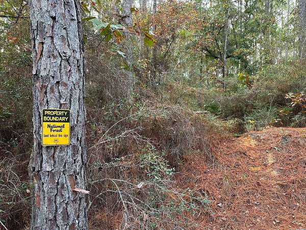 26.5 Acres of Recreational Land for Sale in Wiggins, Mississippi