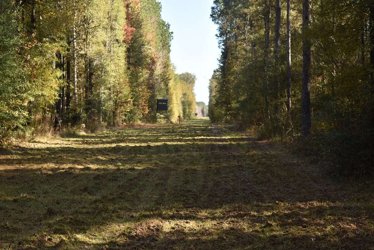 212 Acres of Recreational Land with Home for Sale in Clinton, Louisiana