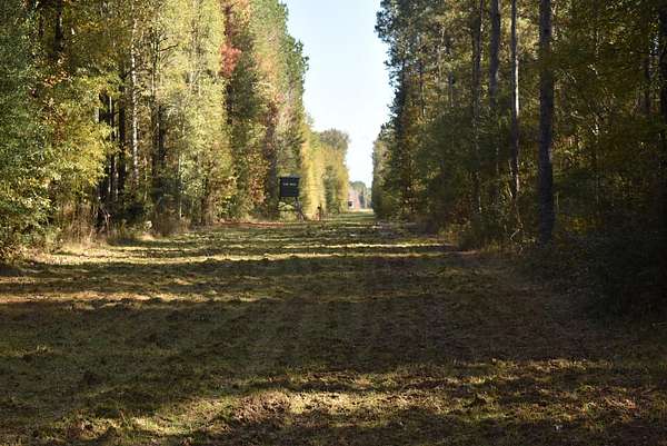 212 Acres of Recreational Land with Home for Sale in Clinton, Louisiana