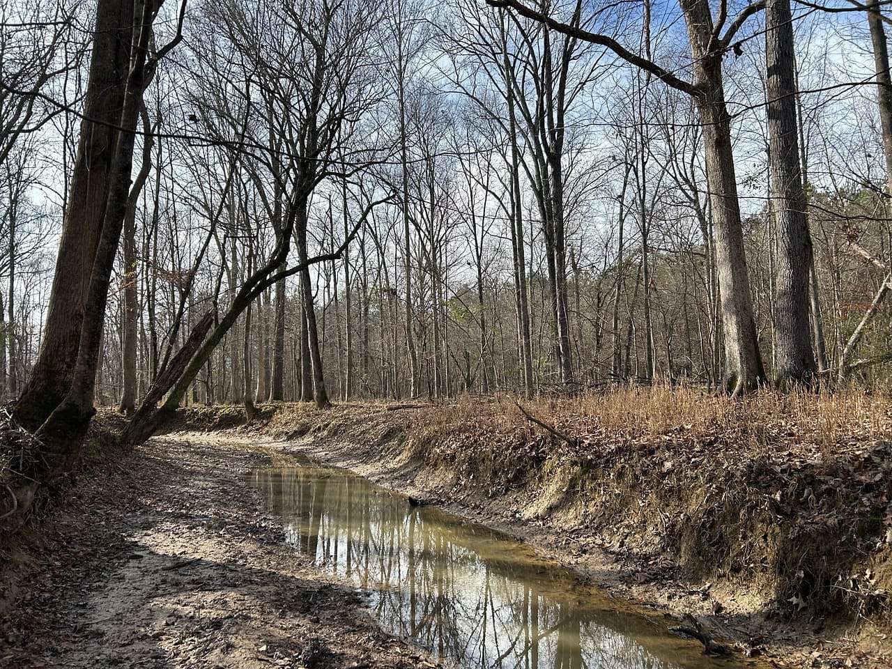 80 Acres of Recreational Land for Sale in Houston, Mississippi