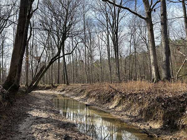 80 Acres of Recreational Land for Sale in Houston, Mississippi