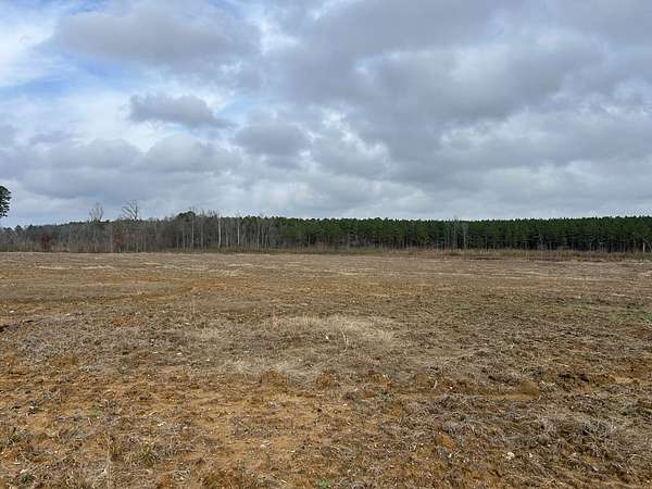 78 Acres of Land for Sale in Houlka, Mississippi