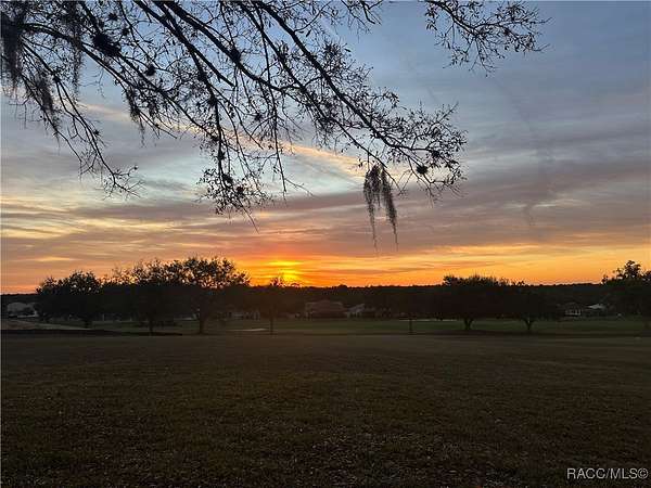 1 Acre of Residential Land for Sale in Hernando, Florida