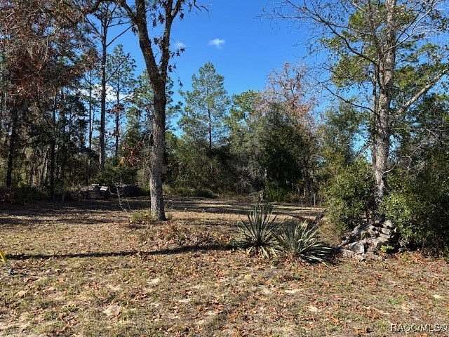 0.23 Acres of Residential Land for Sale in Citrus Springs, Florida