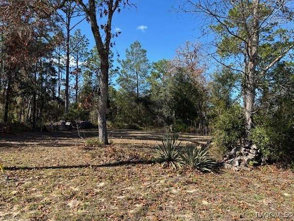 0.23 Acres of Residential Land for Sale in Citrus Springs, Florida
