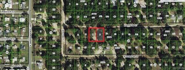 0.46 Acres of Land for Sale in Inverness, Florida